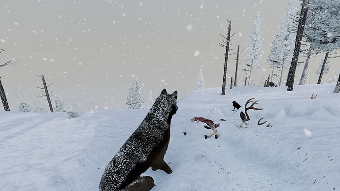 WolfQuestAE 2023-07-08 11_22_17 PM