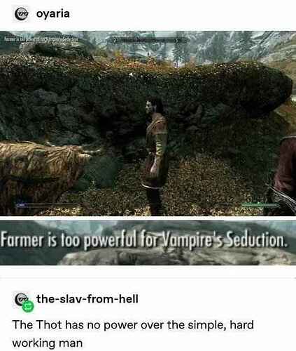 Chad-farmer-1731374731694