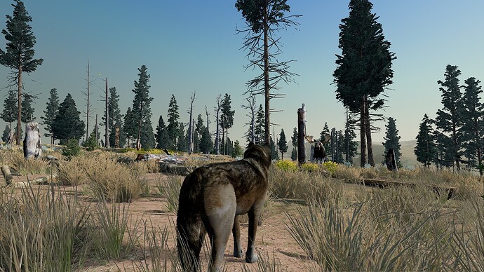 WolfQuestAE 2023-07-08 2_41_05 AM