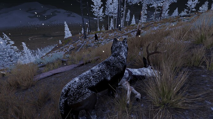 WolfQuestAE 2023-07-08 11_17_55 PM