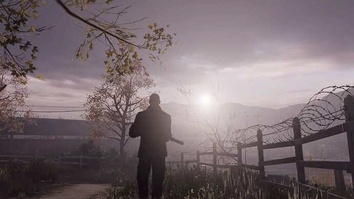 Hitman colorado leather jacket looking back mountain 2