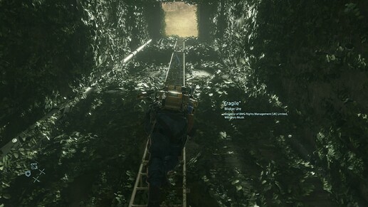 MGS Ladder - DS