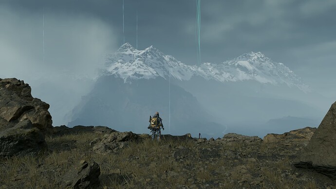 Death Stranding Final Chip