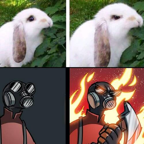 285fd45b8b3d5a9e7038db11c48198f6