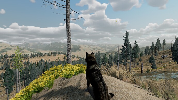 WolfQuestAE 2023-07-07 10_33_36 PM