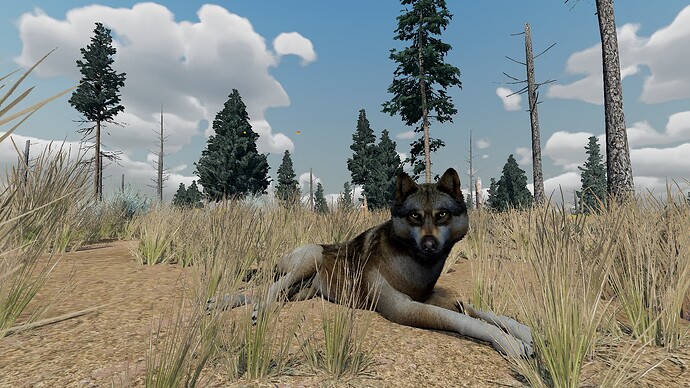 WolfQuestAE 2023-07-07 10_38_08 PM