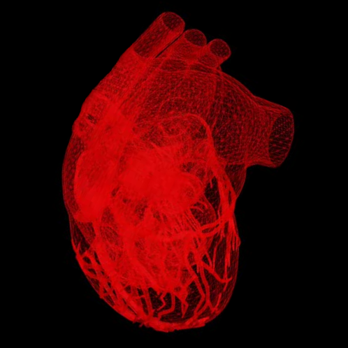 Heart