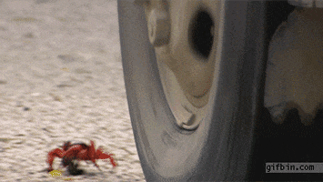 Close Call GIF - Find & Share on GIPHY
