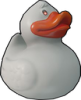 :white_duck: :white_duck: