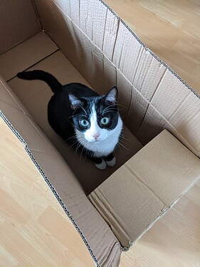 PXL_20210222_113529815