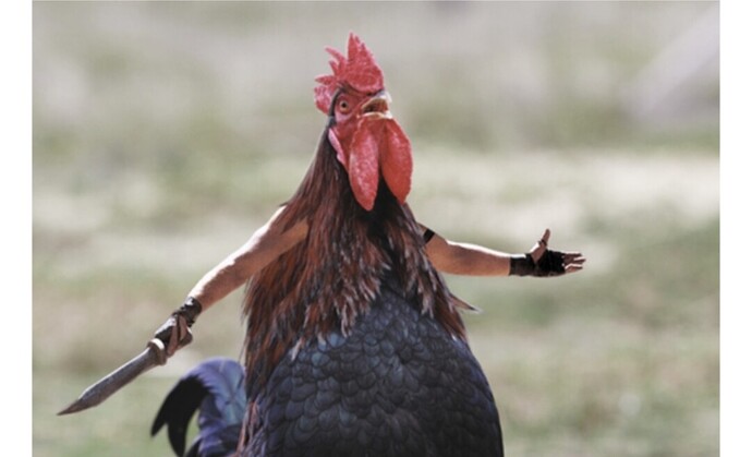 Screenshot_20210205-133016_Chrome