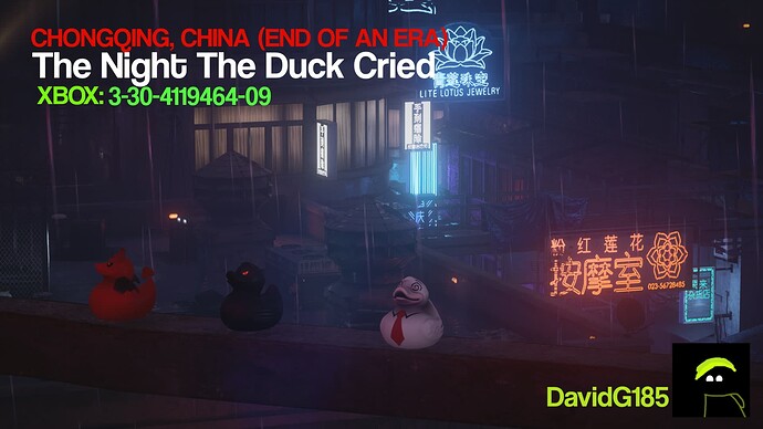 The Night The Duck Cried