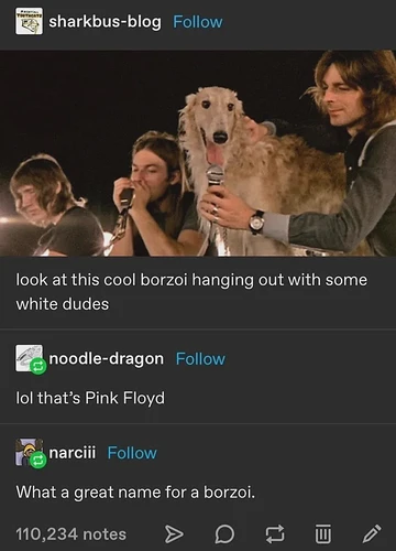 guys-i-think-we-finally-found-pink-v0-y5qt5ubyc6wd1