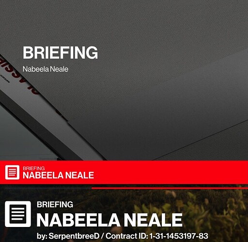 Nabeela Neale - briefing