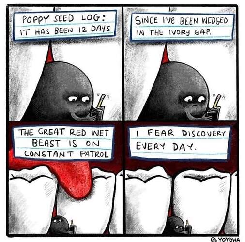 FB_IMG_1706687374701