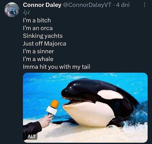 FB_IMG_1729209827602