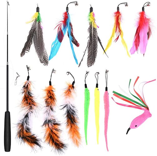 71Y5px38bQL.AC_SL1000