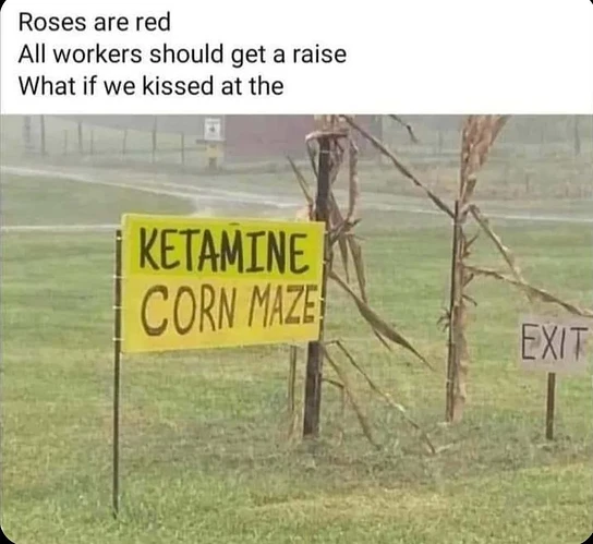 i-absolutely-read-this-in-roberts-voice-v0-gj3y0clythvd1