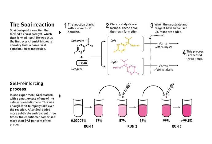 Illustration: The Soai reaction
