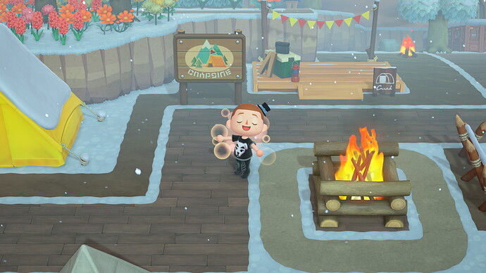 The Pocket Camp items are amazing so im glad 3.0 made them available to everyone instead of being locked to that my Nintendo connection thats been unavailable since it shut down also apparently prior to 3.0 the Mario items were locked behind a Nintendo account too but now aren’t