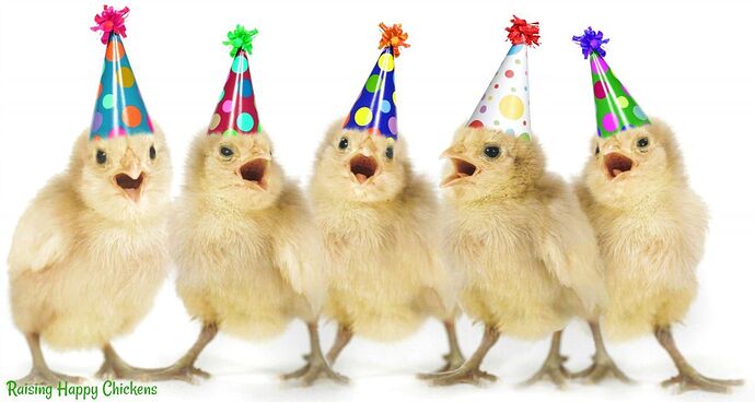 020f4e0f875d897e6aed538a6c818221