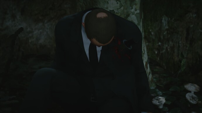 HITMAN 3 (13)