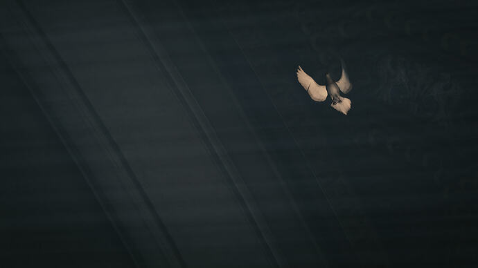 Hitman 3 Screenshot 2026.02.01 - 22.29.05.49