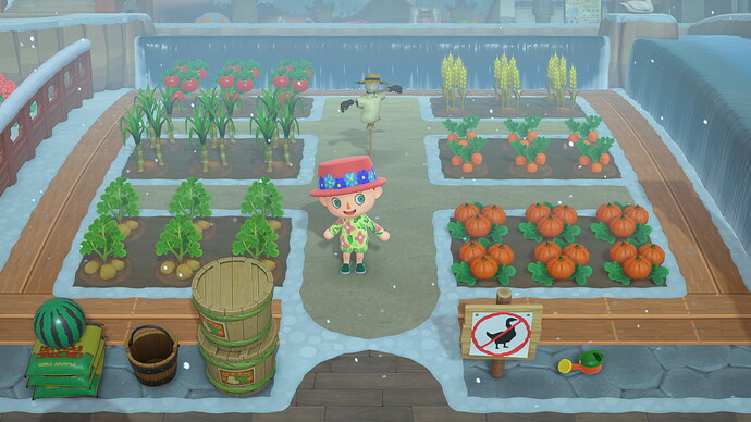 Screw turnips i slowly made 30 million bells with just pumpkins
