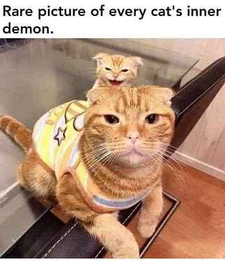 FB_IMG_1724391972276