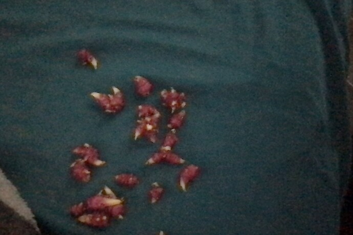 Photo on 8-1-21 at 12.22 PM