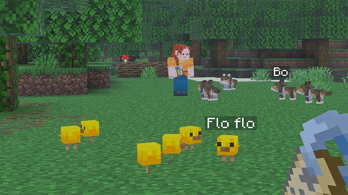 MCV_SpringDrop2026_BPS_Jan7_Bedrock_Campaign_03_BabyNames_1280x720