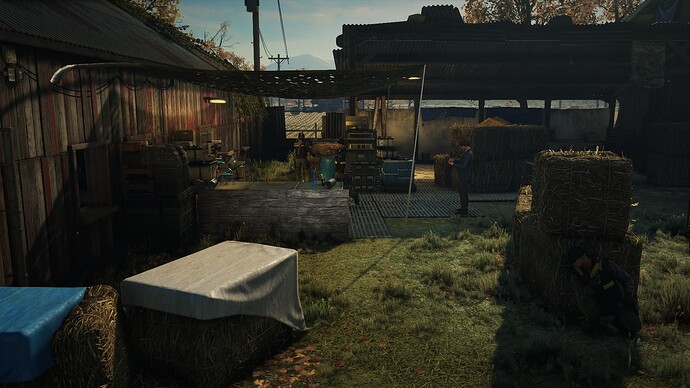 Hitman 3 Screenshot 2025.11.16 - 13.46.14.16