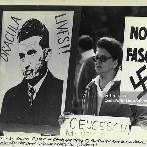 FB_IMG_1730538151595